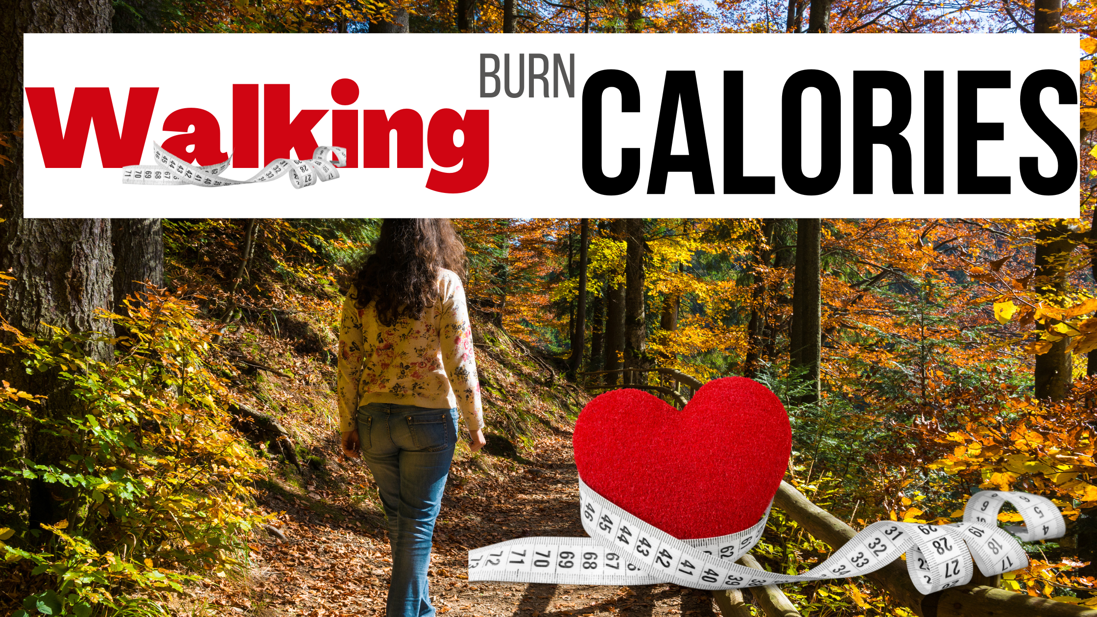 Calories burnt when walking